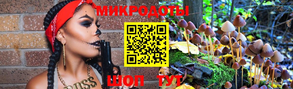Галлюциногенные грибы Psilocybe Дзержинск