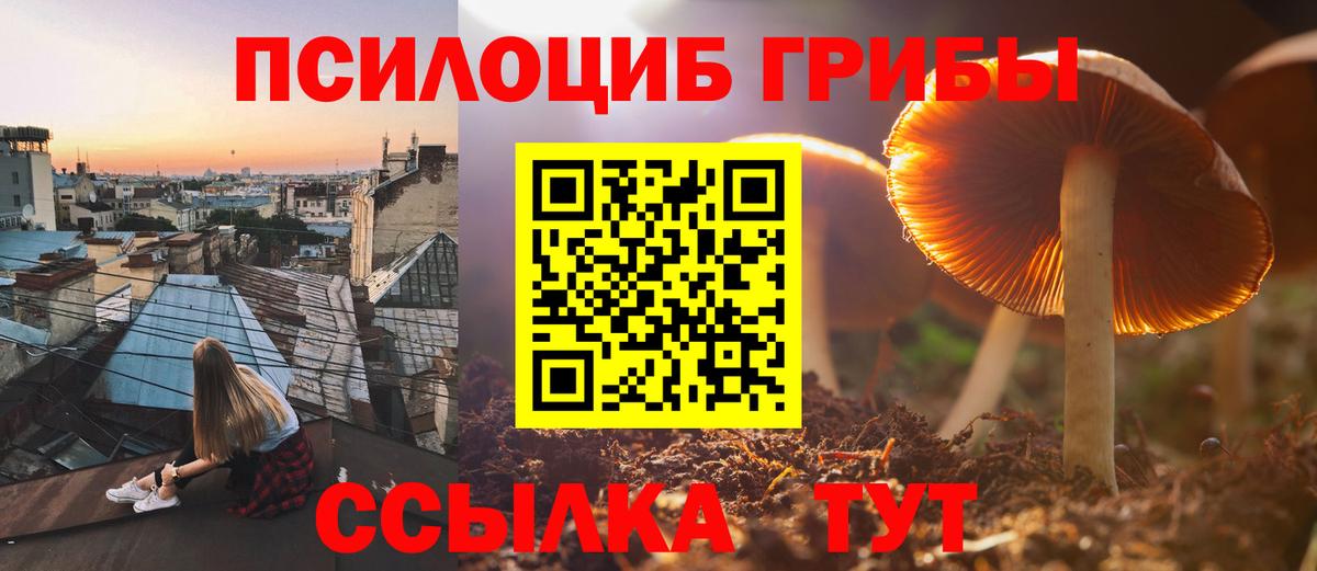 Дзержинск  Галлюциногенные грибы мицелий  Вход с VPN 